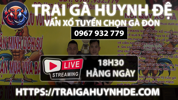 Xổ Gà Ngày 05/05/2025 - Xem Lại Livestream Đá Gà